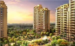 國際麗晶城—監控